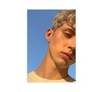 BNCVJFI Troye Sivan Canvas Poster Bedroom Decor Landscape Decor Gift 16x24inch(40x60cm)