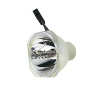 BNEAIGHW Projection light bulb ELP97 V13H010L97 Projector Module for EPSONELP97 PowerLite U50 EB-U50 EB-FH52 EB-FH06 EB-W51 EB-W50 EB-X50 stage light(V13H010L97-CB)
