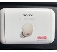 Sony WF-1000Xm5 Wireless Noise Cancelling Headphones in Black