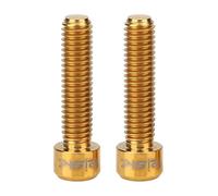 Bnineteenteam 2Pcs Disk Brake Bolts, Titanium Alloy Bicycle Disc Brake Caliper Screw M6 X 25mm Screws for Mountain Bike (Gold)