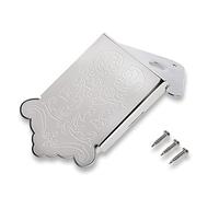 Bnineteenteam Mandolin Tailpiece Mandolin Metal Tailpiece Replacement Tailpiece Part with Screws(Silver)