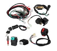 Bnineteenteam Wiring Harness Loom Coil Regulator, Wiring Harness Solenoid Coil Rectifier CDI Kit Fits for ATV Quad Bike