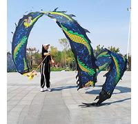 bnjlSDATwr dance props， Dragon Dance Ribbon - Washable Silk Dancer, Practice Flinging Poi for Park Playing, Interesting Colorful
