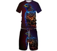 BNMKYTWASJP Mens 3D Owl Summer Track Suits 2 Piece Shorts Sets Short Sleeve Sweatsuit Outfits (Mens2,3XL)
