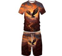 BNMKYTWASJP Mens 3D Owl Summer Track Suits 2 Piece Shorts Sets Short Sleeve Sweatsuit Outfits (Mens3,L)