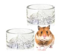 BNOSDM 2Pcs Hamster Food and Water Bowl Mountain Fuji Style Glass Drinking Dwarf Hamster Feeder Anti-Turning Dish for Syrian Hamsters Gerbils Mice Rats or Other Similar-Sized Pets (Colorful)