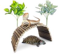 BNOSDM Reptile Hide Tortoise Hideout Bearded Dragon Wooden Bridge Snake Climbing Tunnel Habitat Decor for Lizards Spiders Gecko Ball Python (Small)