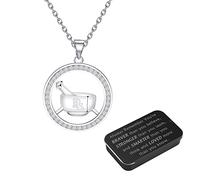 BNQL Pharmacist Gifts Necklace Rx Gift Pharmacy Tech Gifts Pharmacy Technician Jewelry Pharmacist Graduation Gifts Pharmacy Appreciation Gifts (rx necklace)