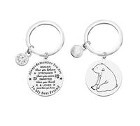 BNQL Polar Bear Keychain Polar Bear Gifts for Polar Bear Lover Polar Bear Friend Gift Arctic Animal Gift Cute Polar Bear Key Chain