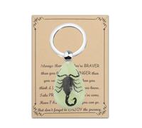 BNQL Real Scorpion Keychain Gifts Resin Scorpion Pendant With Real Scorpion Specimen Glow in the Dark Scorpion Resin Key Ring (Scorpion Keychain black)