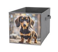 BNVOPTRE Storage Box, Pad Dachshund Printed Storage Box,toy Storage Box,portable Storage Box,office Storage Box