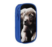 BNVSADC Cute Puppies Dog Printed Pencil Case for Girls Boys, Large Capacity Pencil Pouch Cute Pencil Box Adult Makeup Bag with 2 Compartments, Blue