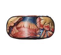 BNVSADC Human Anatomy Heart Chart Printed Pencil Case Cute Pencil Bag Pen Pouch Large Stationery Organizer Makeup Bag for Teen Boys Girls School Students Office