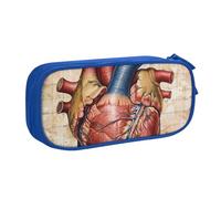 BNVSADC Human Anatomy Heart Chart Printed Pencil Case Large Pen Bag Cute Pencil Box Pouch Office School Stationery Organizer for Girls Boys, Blue