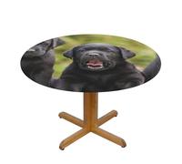 BNVSADC Labrador Retriever Dog Printed Round Tablecloth with Elastic Edged, S(122CM Diameter), Polyester Kitchen Water Resistant Table Cloth Dining Table Decoration Table Covers