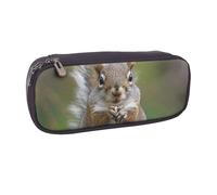 BNVSADC Red Squirrel Printed Leather Pencil Pen Case & Makeup Bag - Stylish Pencil Bag Stationery Organizer Pouch for School Office Travel