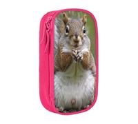 BNVSADC Red Squirrel Printed Pencil Case for Girls Boys, Large Capacity Pencil Pouch Cute Pencil Box Adult Makeup Bag with 2 Compartments, Pink