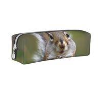 BNVSADC Red Squirrel Printed Pencil Case Leather Pencil Pouch Cute Stationery Pencil Pen Bag with Zipper for School Office Travel