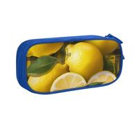 BNVSADC Yellow Lemon Printed Pencil Case Large Pen Bag Cute Pencil Box Pouch Office School Stationery Organizer for Girls Boys, Blue