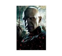 bnyesa Lord Voldemort Harry Potter Dormitory Bedroom Wall Art Deco Poster Canvas Poster Bedroom Decor Landscape Office Room Decor Gift 16x24inch(40x60cm)