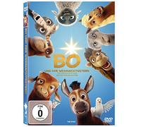 Bo und der Weihnachtsstern
