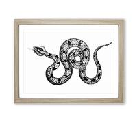 Boa Constrictor Snake In Black & White By George Shaw Vintage Framed Print | A3 Oak Framed Wall Art | Ready to Hang | Classic Nature Picture | Living Room Bedroom Lounge Office