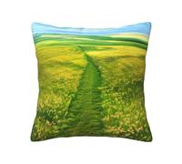 BOAIHH Grassland paths Four Season Pillowcase 20"x20" Soft Skin Friendly and Comfortable with Zipper Suitable for Sofa Car and Bedroom
