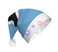 BOAIHH Plush LED Santa Christmas Hat for Exquisite Flag of Botswana Print Soft Blinking Fashion Festival Party Accessory