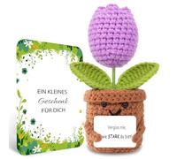 BOAITE Gifts for Women Birthday Gift for Women Gift Knitted Strawberry Get Well Gifts Mum Sister Colleague Birthday Gift Positive Potato German Replacement