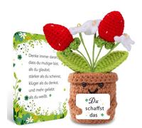 BOAITE Small Lucky Charm Knitted Forget-Me-Not Encouraging Gifts, Positive Potato German Replacement, Gifts for School (Strawberries)