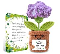 BOAITE Small Lucky Charm Knitted Forget-Me-Not Encouraging Gifts, Positive Potato German Replacement Gifts for School Enrolment (Carnations)