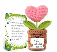BOAITE Small Lucky Charm Knitted Forget-Me-Not Encouraging Gifts, Positive Potato German Replacement, Gifts for School (Pink Heart-Shaped Flowers)
