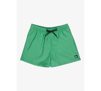 Quiksilver Everyday Deluxe Volley 15´´ Swimming Shorts Green S Men