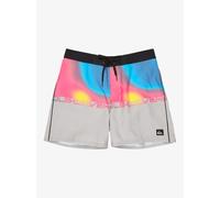 Quiksilver Men's Everyday Half Jam 16 Board Shorts, Microchip WORDBLOCK, (34W) EU