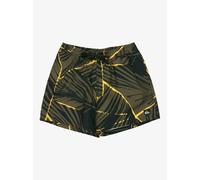 Board shorts Quiksilver Everyday Printed Volley 15 Vert L