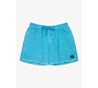 Quiksilver Everyday Surfwash Volley 15´´ Swimming Shorts Blue S Men