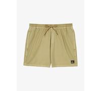 Board shorts Quiksilver Everyday Surfwash Volley 15" Vert 2XL