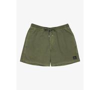 Board shorts Quiksilver Everyday Surfwash Volley 15" Vert 2XL