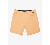 Quiksilver Nelson Amphibian 18´´ Shorts Beige 38 Men