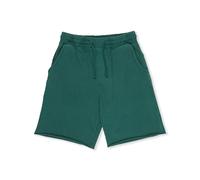 Board shorts Town & Country Surf Designs Mist Vert L