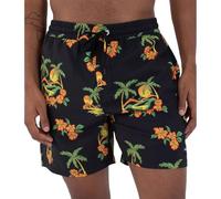 Boardshort Men - Cannoball Volley 17', Black 6, XL