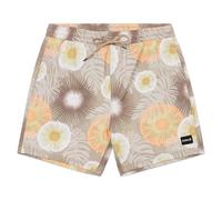 Boardshort Mens - Cannonball Volley 17"