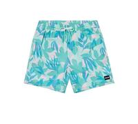 Boardshort Mens - Cannonball Volley 17"