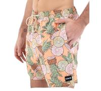 Boardshort Mens - Cannonball Volley 17"