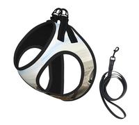 Boat Beach Sunrise Time Nautical Print Adjustable Harness Leash Set For Cats And Dogs, Soft Breathable Kitten Puppy Mesh Vest With Reflective Design, Escape-Proof Lead For Small Pets Walking Training