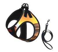 Boat Beach Sunrise Time Nautical Print Dog Harness Leash Set Reflective Pet Harness Puppy Vest Suitable Dogs Cats Small Breeds