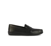 Geox Ascanio Loafers