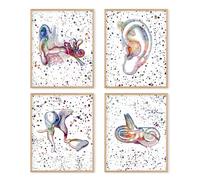 Boat Wades Ear Poster Wall Art,Audiologist Gifts,Ear Anatomy Posters,Audiology Specialist Cross Section Clinic Hearing Office Decor Great Gift for Audiologist,8x10 Inch, Unframed Set of 4