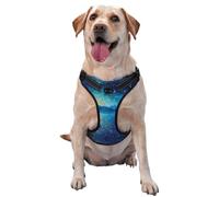 Boats in The Sea Large Printed pet Traction Vest - Suitable for Dog Walking, Hiking and Outdoor Adventures,