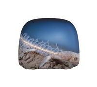 BOAXXL Night Drake Car Headrest Cover One Piece Universal Anti-Fouling Elastic Protective Accessory